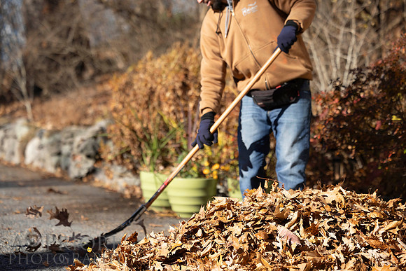 241125WMLStaffAndWorkPOR-202