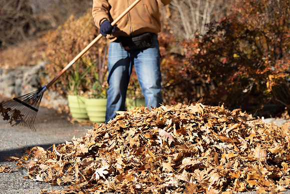 241125WMLStaffAndWorkPOR-204