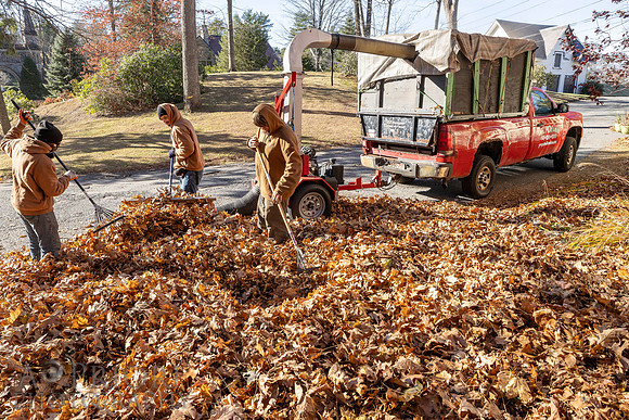 241125WMLStaffAndWorkPOR-071