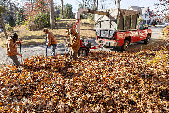 241125WMLStaffAndWorkPOR-070