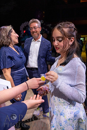 260524ELudwigBatMitzvahEVT-280