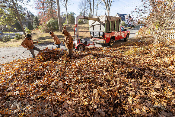 241125WMLStaffAndWorkPOR-067