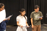 260528ARTBlkSwanHSchoolWrkshpEVT-002
