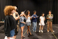 260528ARTBlkSwanHSchoolWrkshpEVT-003
