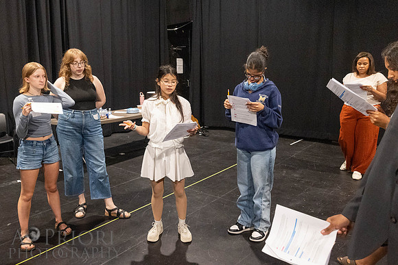 260528ARTBlkSwanHSchoolWrkshpEVT-045