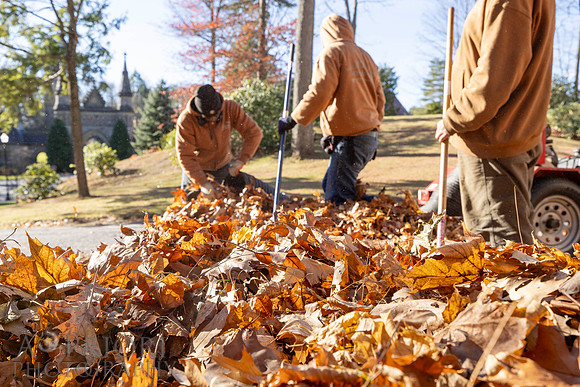 241125WMLStaffAndWorkPOR-082
