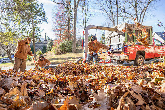 241125WMLStaffAndWorkPOR-096