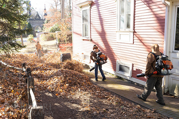 241125WMLStaffAndWorkPOR-043