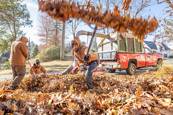 241125WMLStaffAndWorkPOR-111
