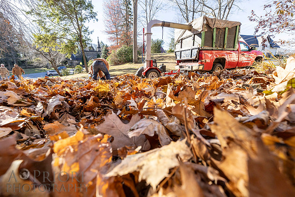 241125WMLStaffAndWorkPOR-086