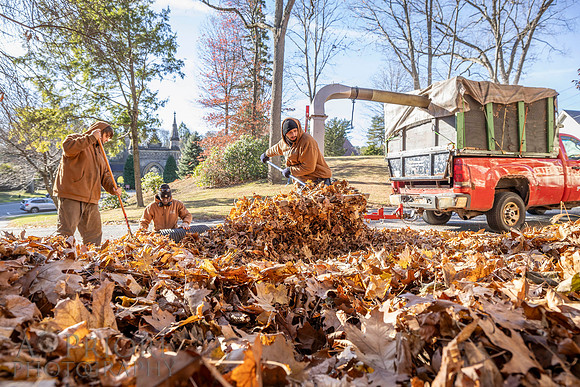 241125WMLStaffAndWorkPOR-095