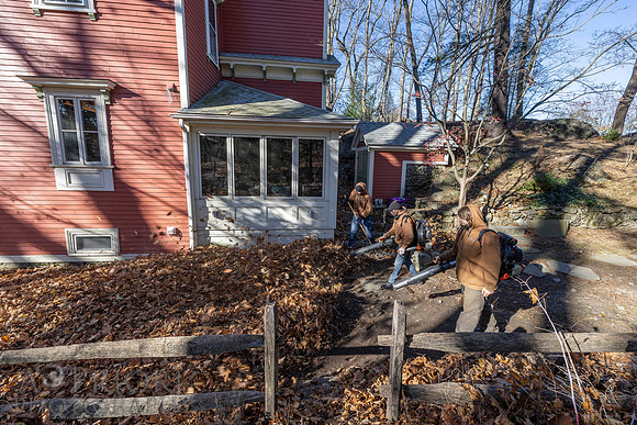 241125WMLStaffAndWorkPOR-018