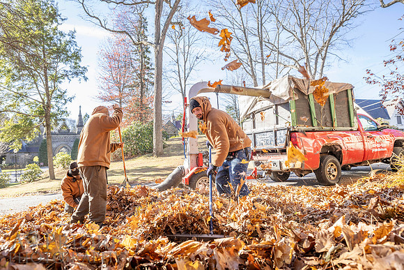 241125WMLStaffAndWorkPOR-108