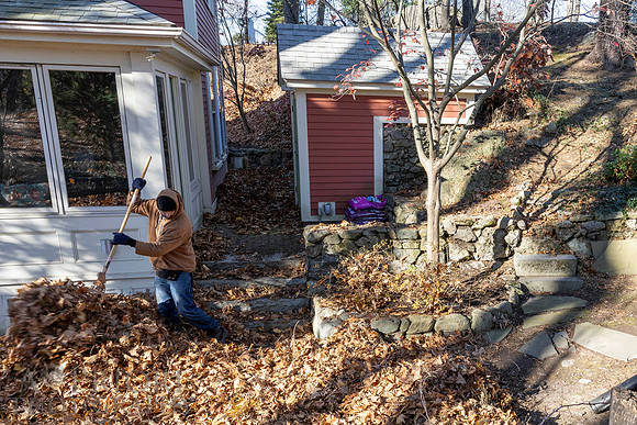 241125WMLStaffAndWorkPOR-002