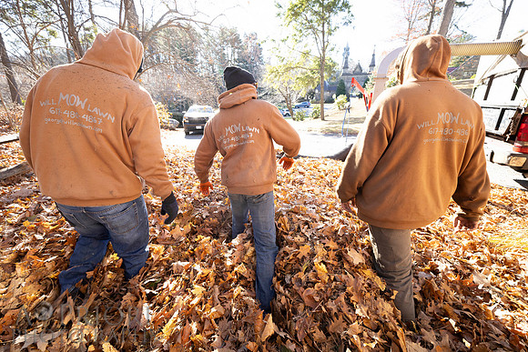 241125WMLStaffAndWorkPOR-056