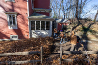 241125WMLStaffAndWorkPOR-018