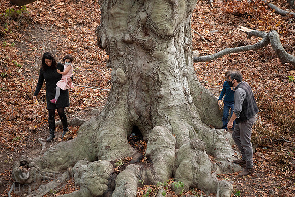 201121ElansaryFamilyPOR-032