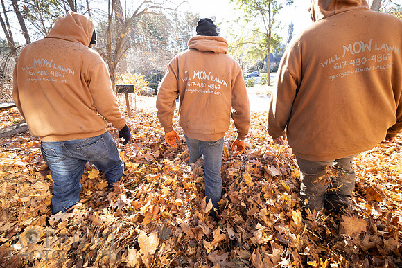241125WMLStaffAndWorkPOR-055