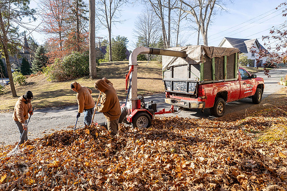 241125WMLStaffAndWorkPOR-065