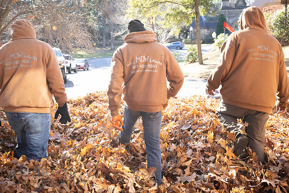 241125WMLStaffAndWorkPOR-062