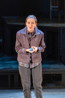 231206TDMCellsPER-017