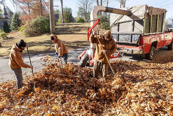241125WMLStaffAndWorkPOR-075