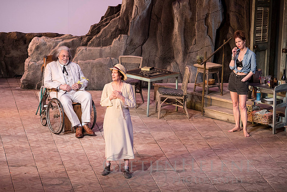 170308ARTNightIguana2PER-015