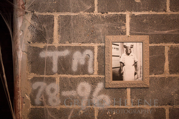 151031TBPHalloweenEVT-032