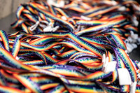 180605BCHPrideEVT-014