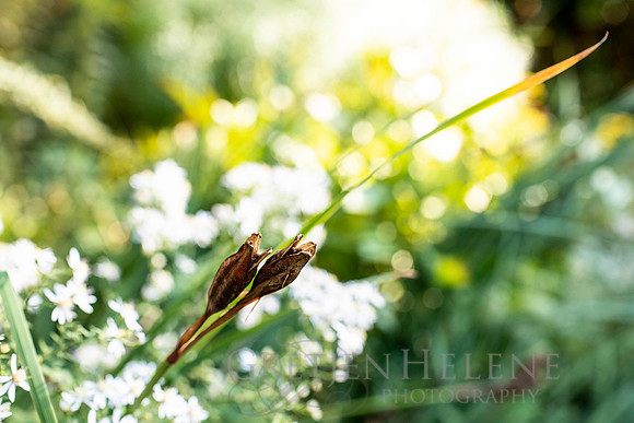 191005RatnerGrowdenWED-008