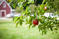 110813BrennanWED-1046