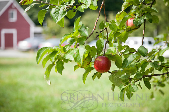 110813BrennanWED-1046