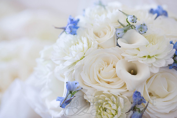 160904SmithWED-0023