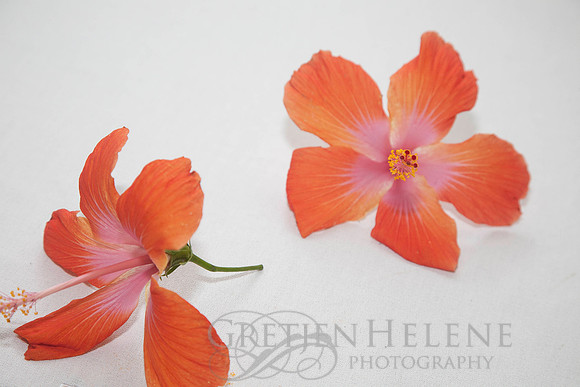 090418KraskerWED-7254