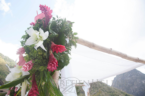 090418KraskerWED-7393