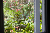 090418KraskerWED-7233