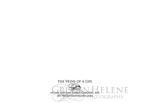 H BACK VeinsOfALife
