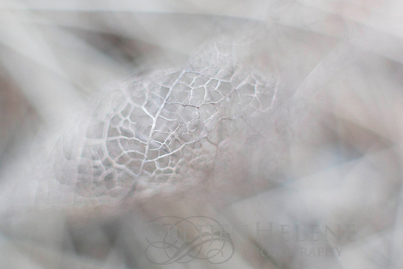 161228MintonStableMacro-4298