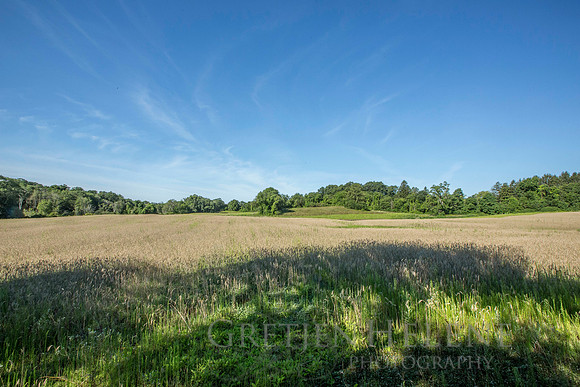 150807TFPWenhamFarmYouthADVpano1-004