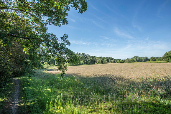150807TFPWenhamFarmYouthADVpano1-002