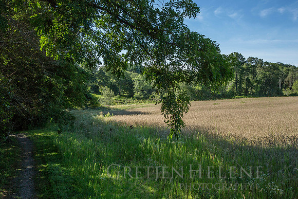 150807TFPWenhamFarmYouthADVpano2-001
