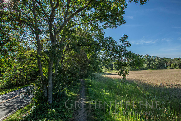 150807TFPWenhamFarmYouthADVpano1-001