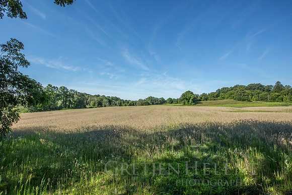 150807TFPWenhamFarmYouthADVpano1-003