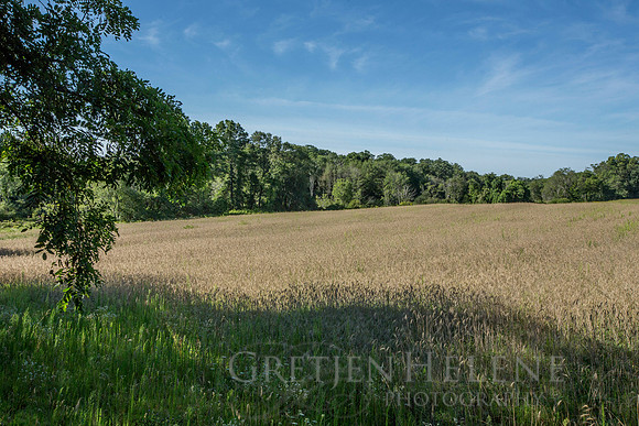 150807TFPWenhamFarmYouthADVpano2-002