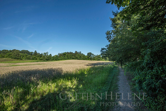150807TFPWenhamFarmYouthADVpano1-006