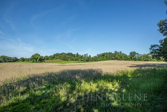 150807TFPWenhamFarmYouthADVpano1-005