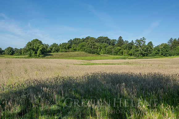 150807TFPWenhamFarmYouthADVpano2-005