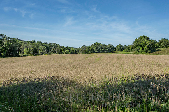 150807TFPWenhamFarmYouthADVpano2-003