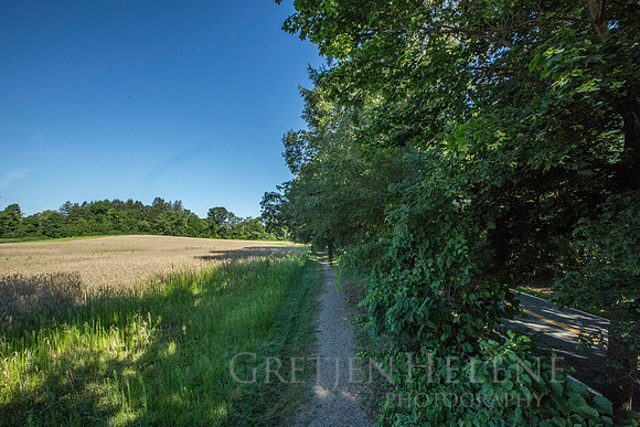 150807TFPWenhamFarmYouthADVpano1-007
