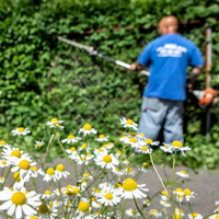 May 31st 2018 • Will Mow Lawn